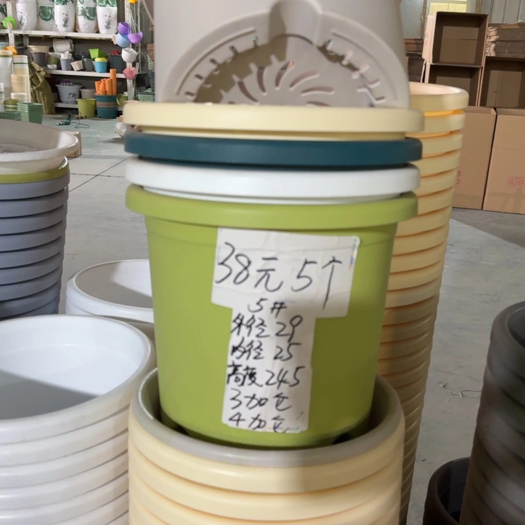 四季5#口径29高25无拖果绿10个