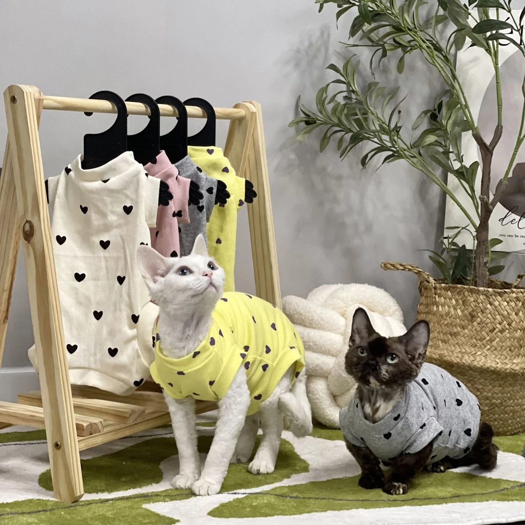 无毛猫衣服四脚棉矮脚护肚春夏空调房弹力柔软无毛德文猫衣服