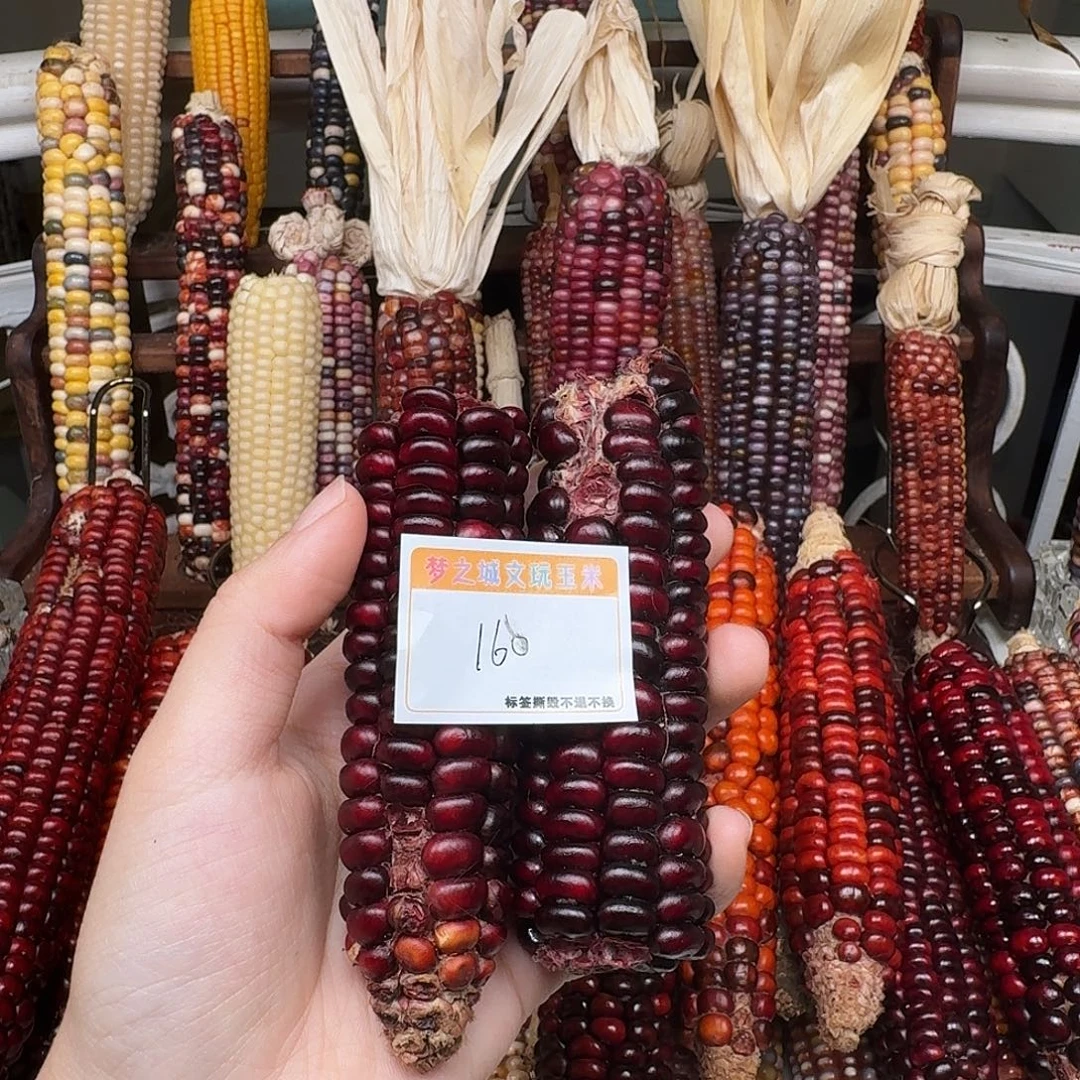 美***e吊坠柏香籽/百香籽
