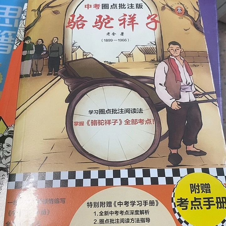 骆驼祥子中考圈点批注版