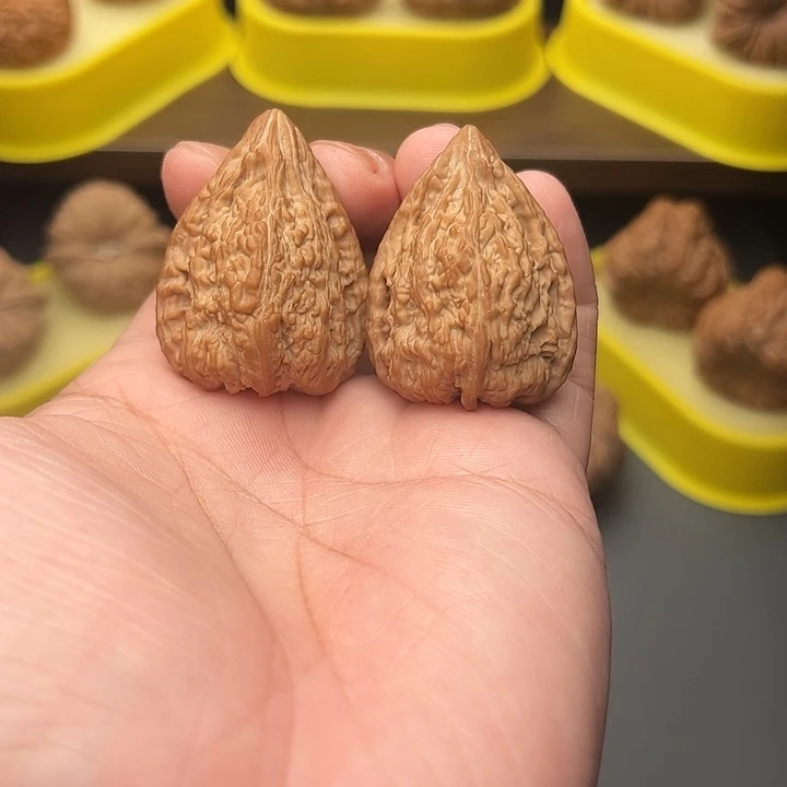 33尺精配头货全品毕业塔尖