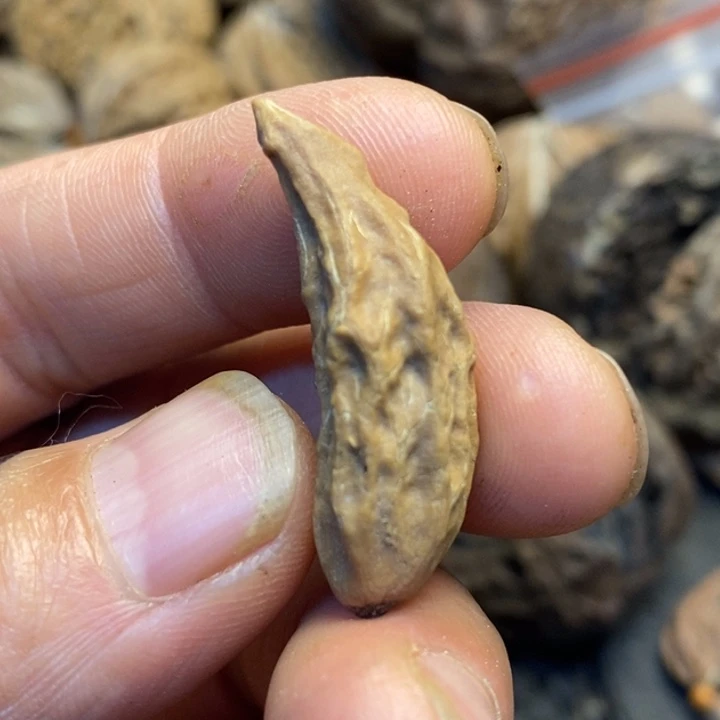 吊坠文玩核桃娜姐100