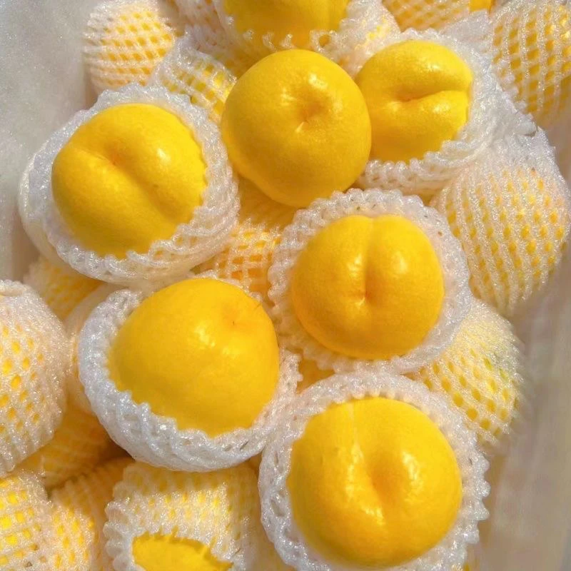 正宗山东蒙阴黄金油桃新鲜水果黄皮黄肉无毛脆甜爆汁现摘