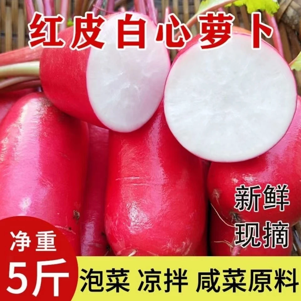 红皮萝卜新鲜现挖泡菜红萝卜当季蔬菜脆甜胭脂红白心火锅配菜