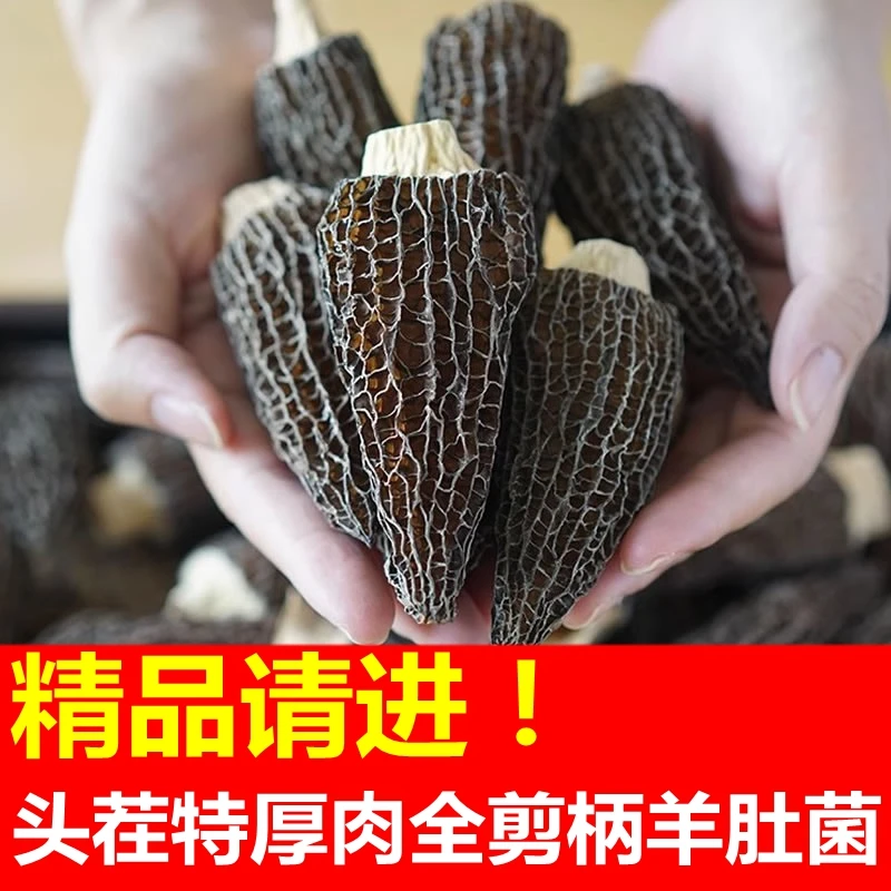 产地直发全剪柄脚头茬肉厚精品小号个头羊肚菌干货煲汤菌斤蘑菇食