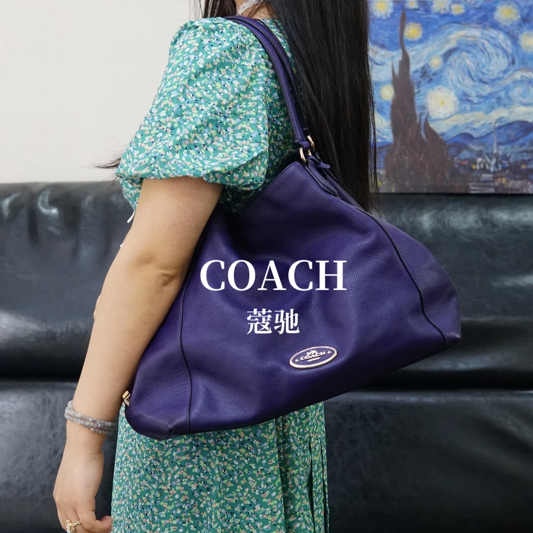95新 COACH/蔻驰 紫色单肩包/AR04112035/2035