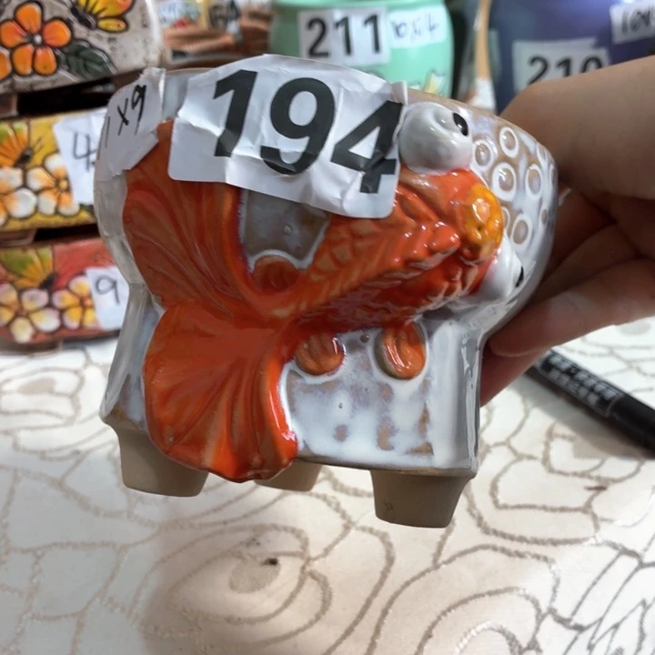 多肉花盆满15包邮