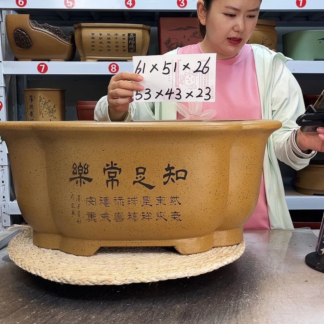 紫砂花盆紫砂花盆