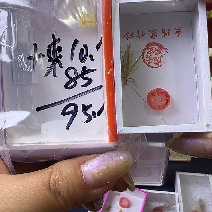 永***远哈哈哈哈哈哈哈哈哈哈