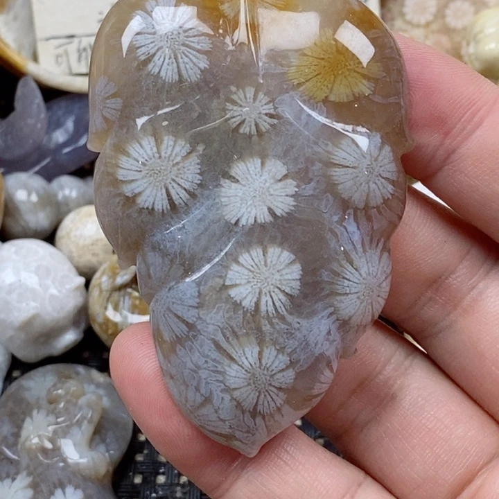 颈饰未镶嵌硅化珊瑚（珊瑚玉）
