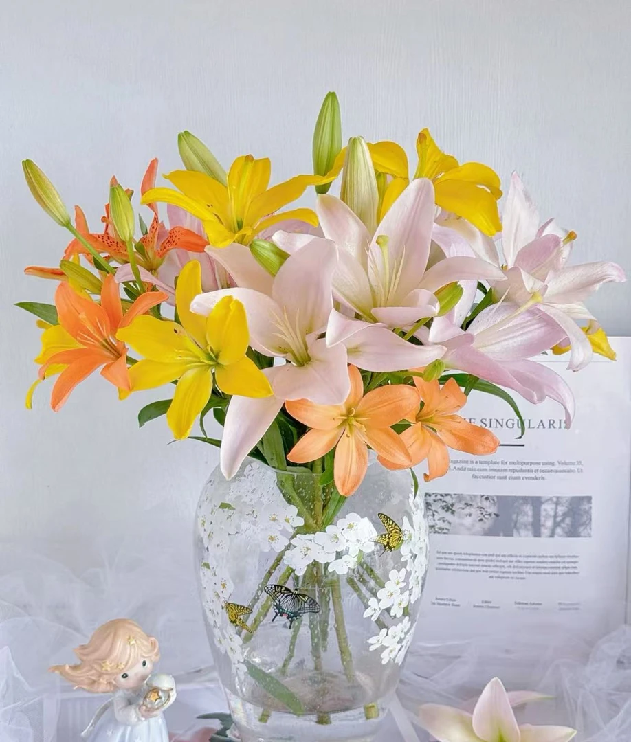 【云南省百合花专用链接】爆香超大花苞云南基地现采现发顺丰包邮