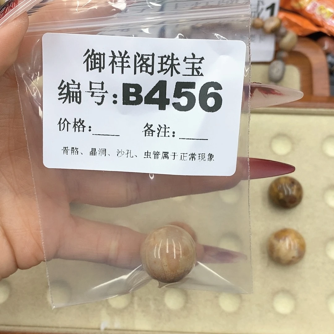 硅化珊瑚（珊瑚玉）颈饰未镶嵌远**乡