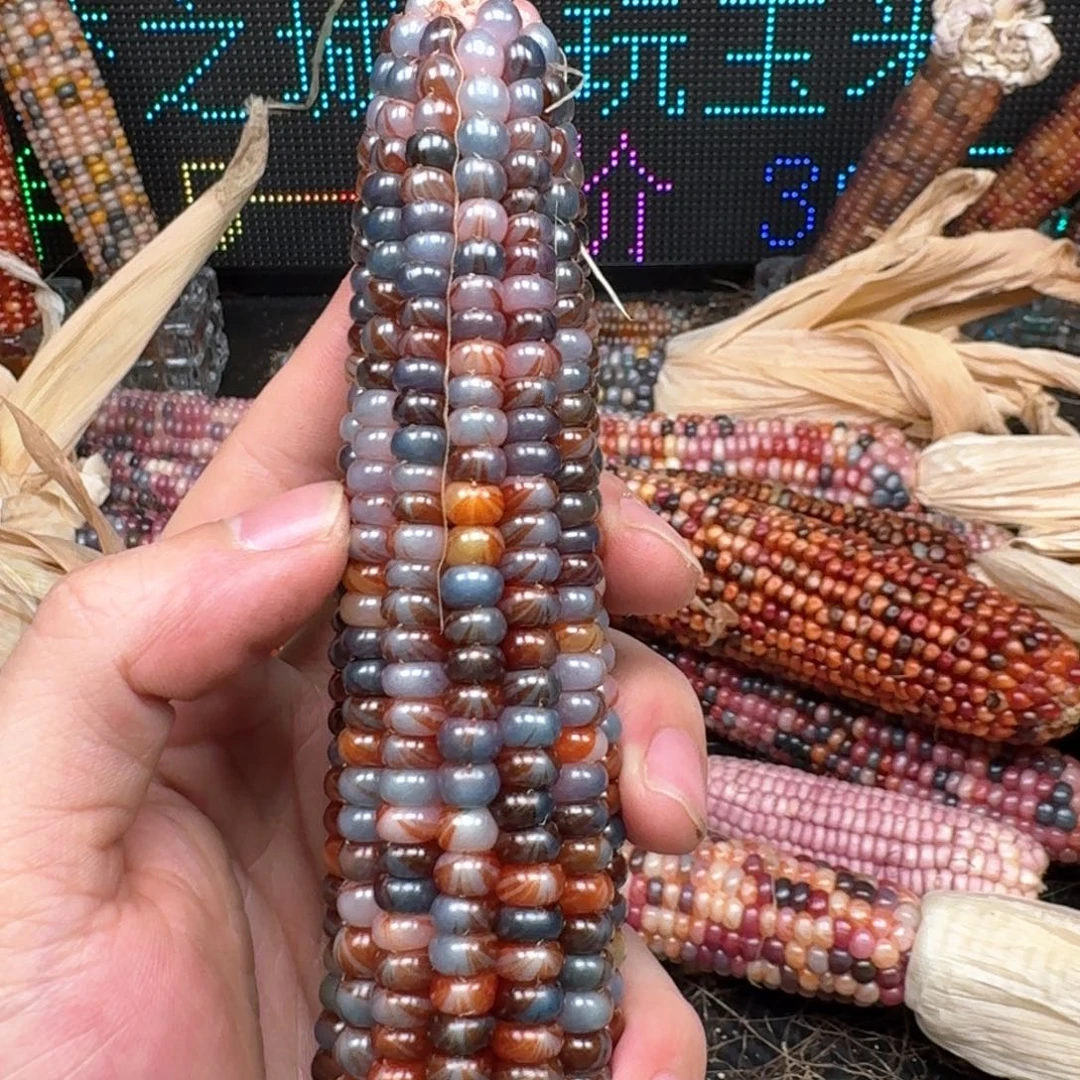 柏香籽/百香籽吊坠包**人