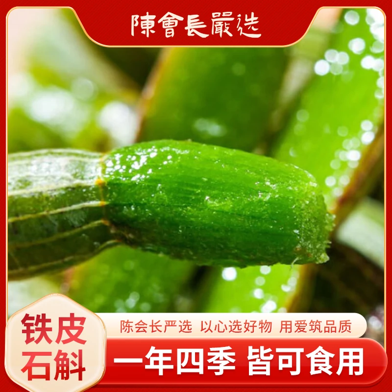 【陈会长严选】新鲜采摘霍山铁皮石斛鲜条直接食用煲汤榨汁250g