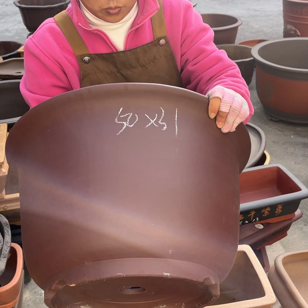 紫砂花盆盆景艺术