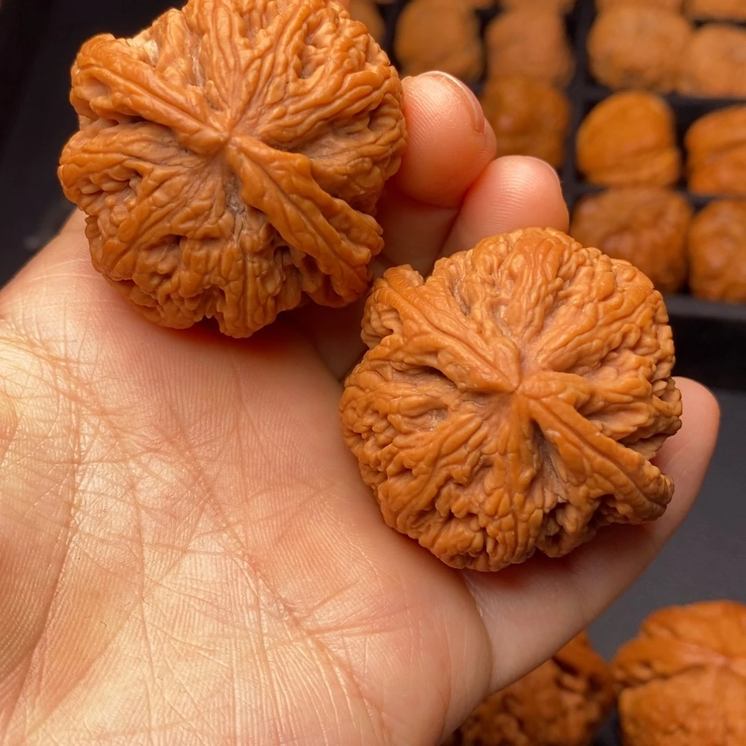 文玩核桃把件秦岭野生核桃