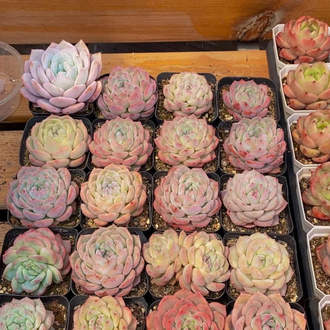 891的人在一起的时候就这样了