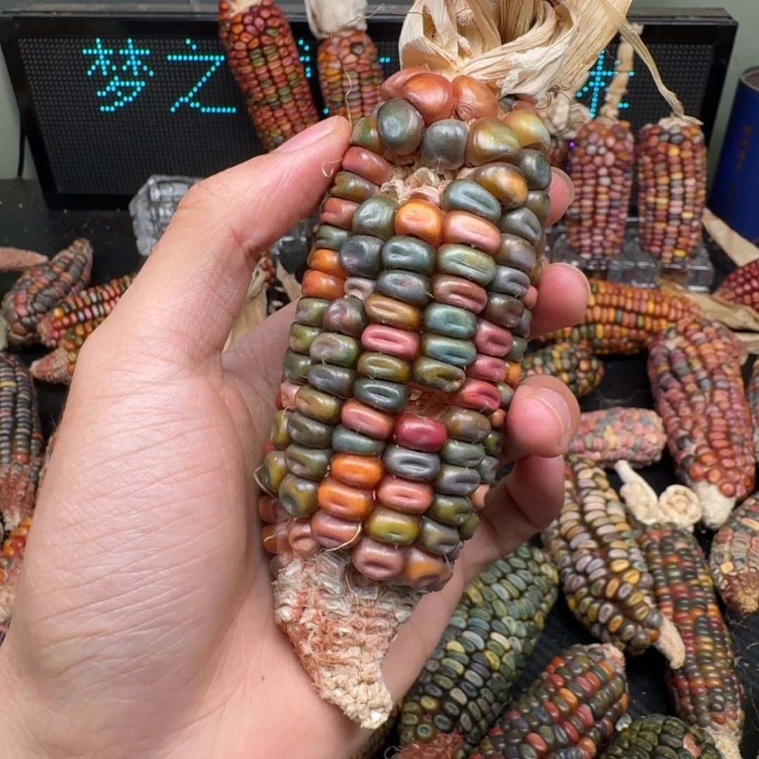 柏香籽/百香籽吊坠玉*子