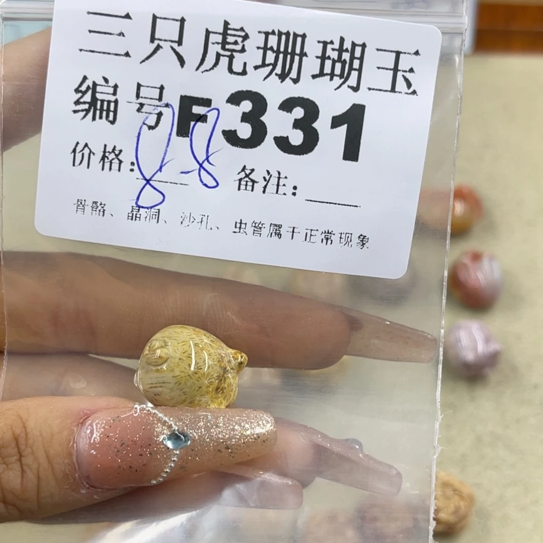 森***夏未镶嵌h硅化珊瑚（珊瑚玉）
