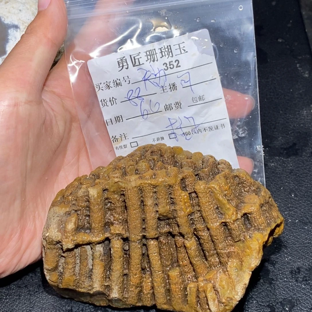 【闪购商品】硅化玉珊瑚玉未镶嵌＆****云