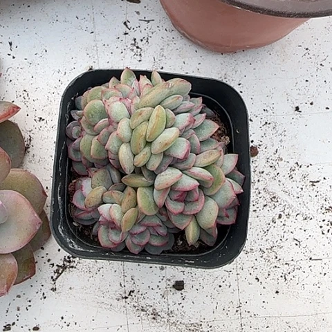 你在哪了啊亲们在111