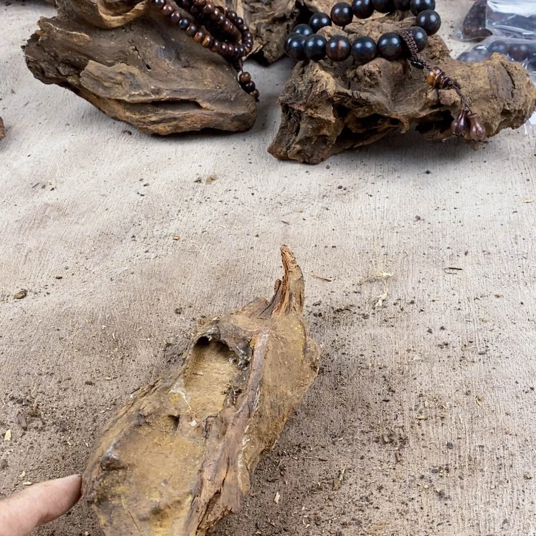 黄花梨/降香黄檀N****生