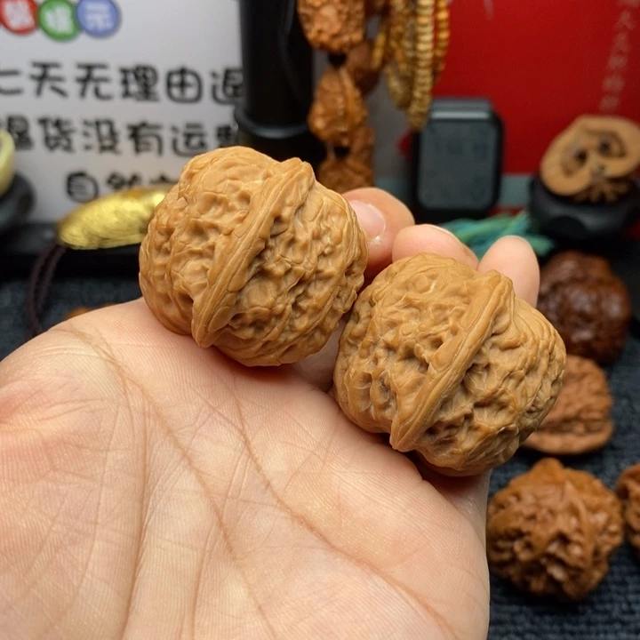 大****龙脊菩提吊坠舍利子全品