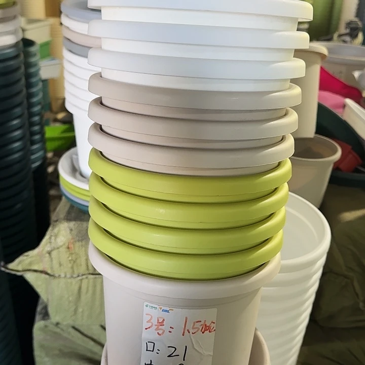 四季3#口径21灰白10个无托