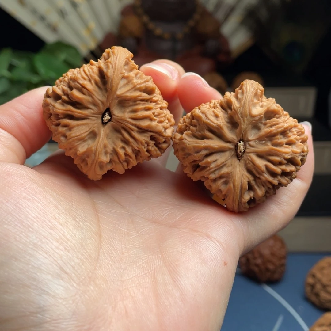 文玩核桃把件不**尘核桃