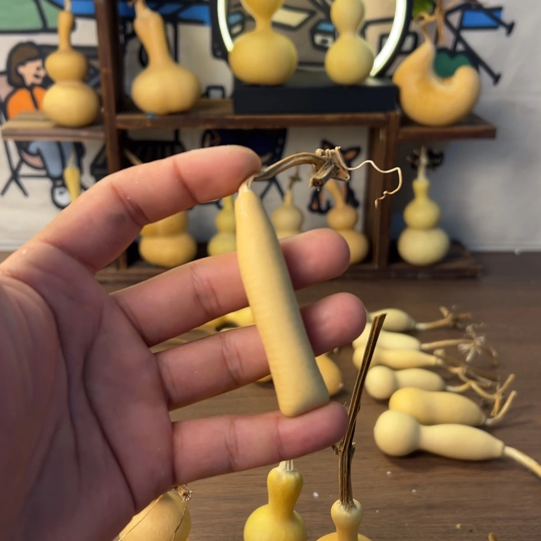 前***31111111111111111