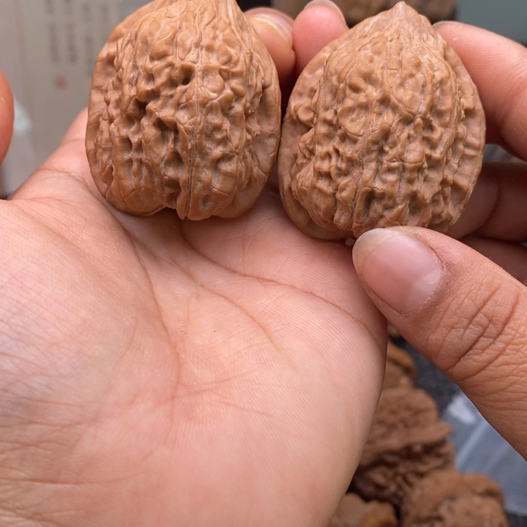 文玩核桃把件37金钱豹