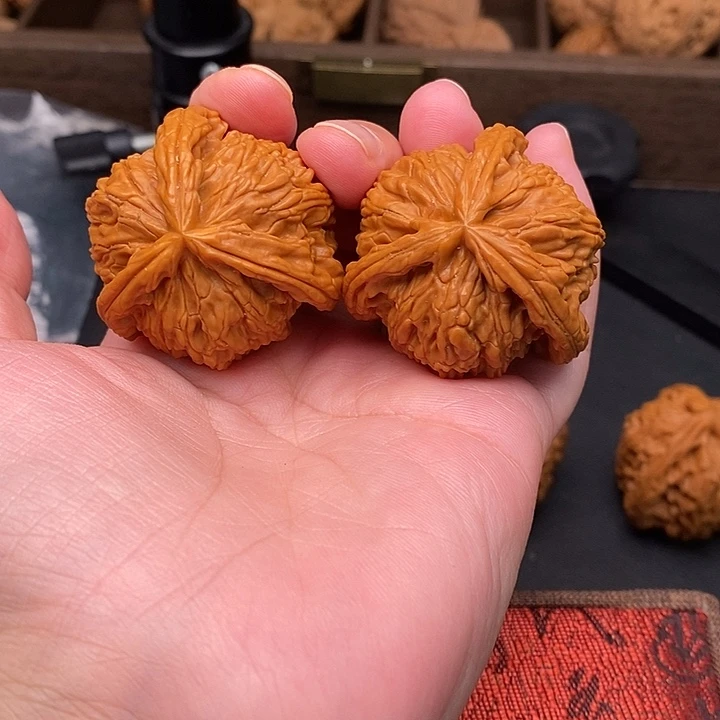 朝***我把件文玩核桃白奔