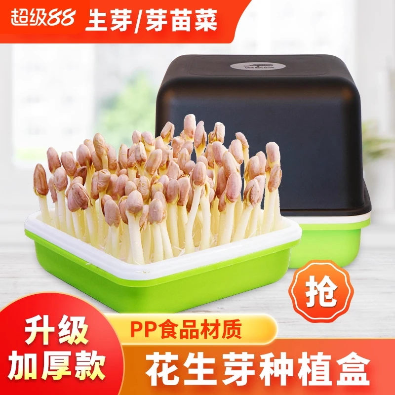 家用方形花生芽水培盒