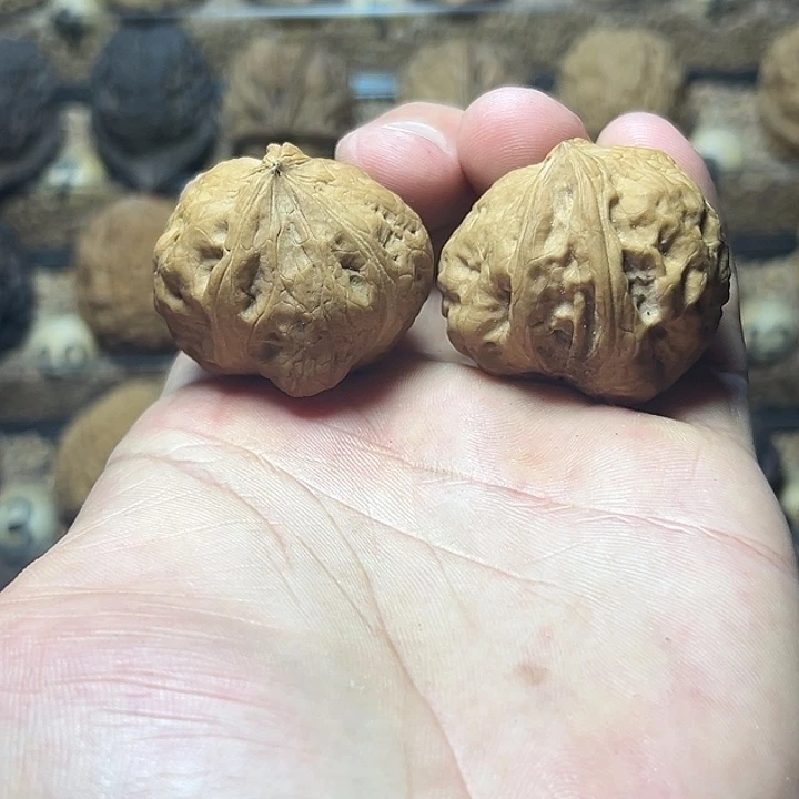 文玩核桃把件27号双修蚊兽36尺