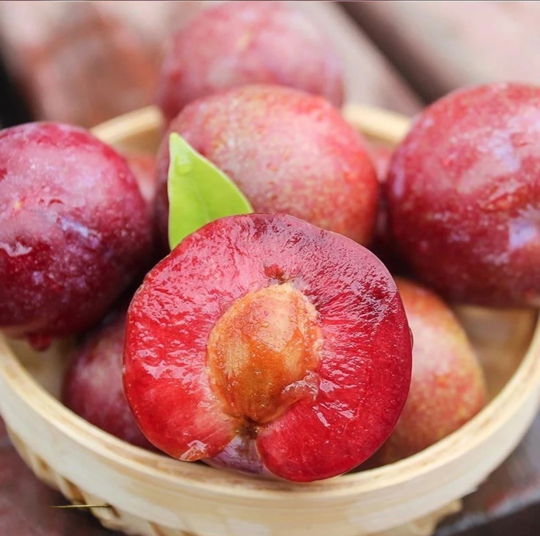 广东茂名钱排正宗红心李银妃三华李酸甜脆口当季新鲜采摘孕妇水果