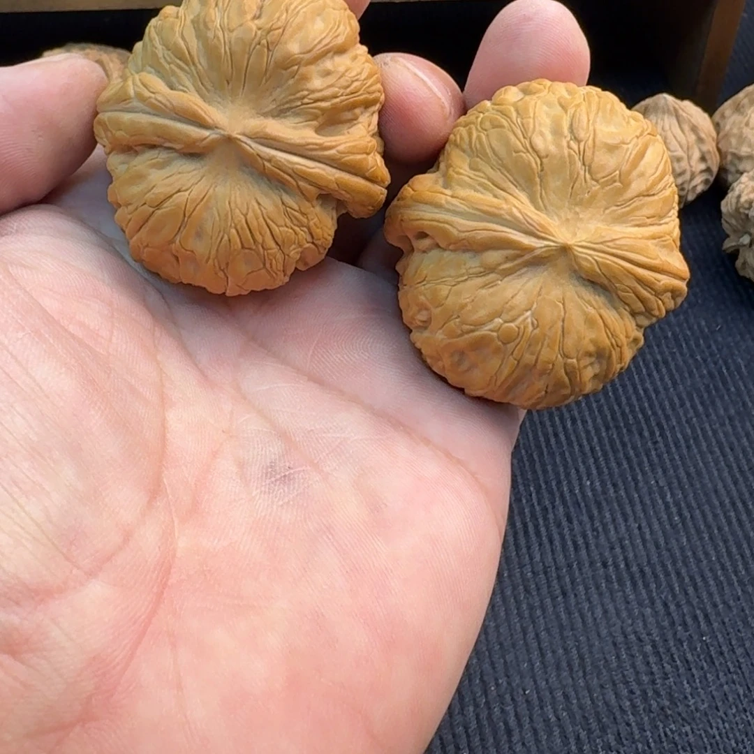 大叶紫檀（黑酸枝木类）元宝47尺