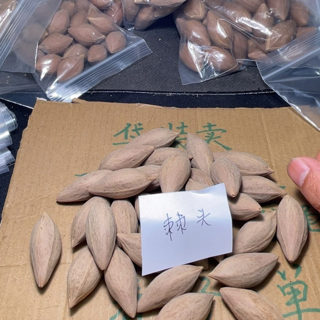 刺*不退不换qsdffg