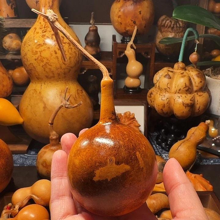 1***1葫芦葫芦葫芦葫芦