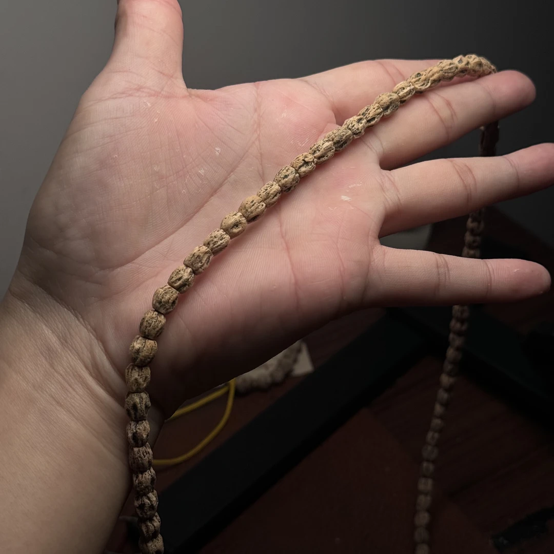 热振柏香籽高桩多棱顺