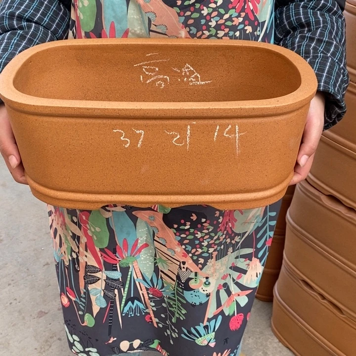 紫砂花盆只顾看手机和