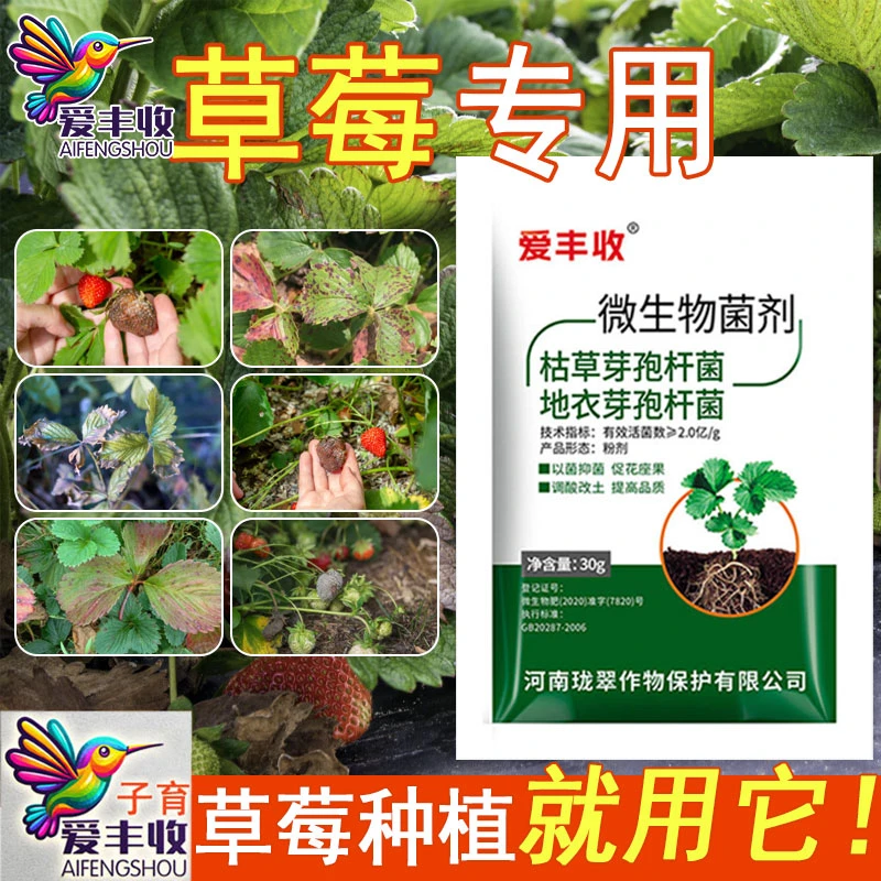 爱丰收草莓专用微生物菌剂草莓微生物肥料保花保果复绿微生物肥料