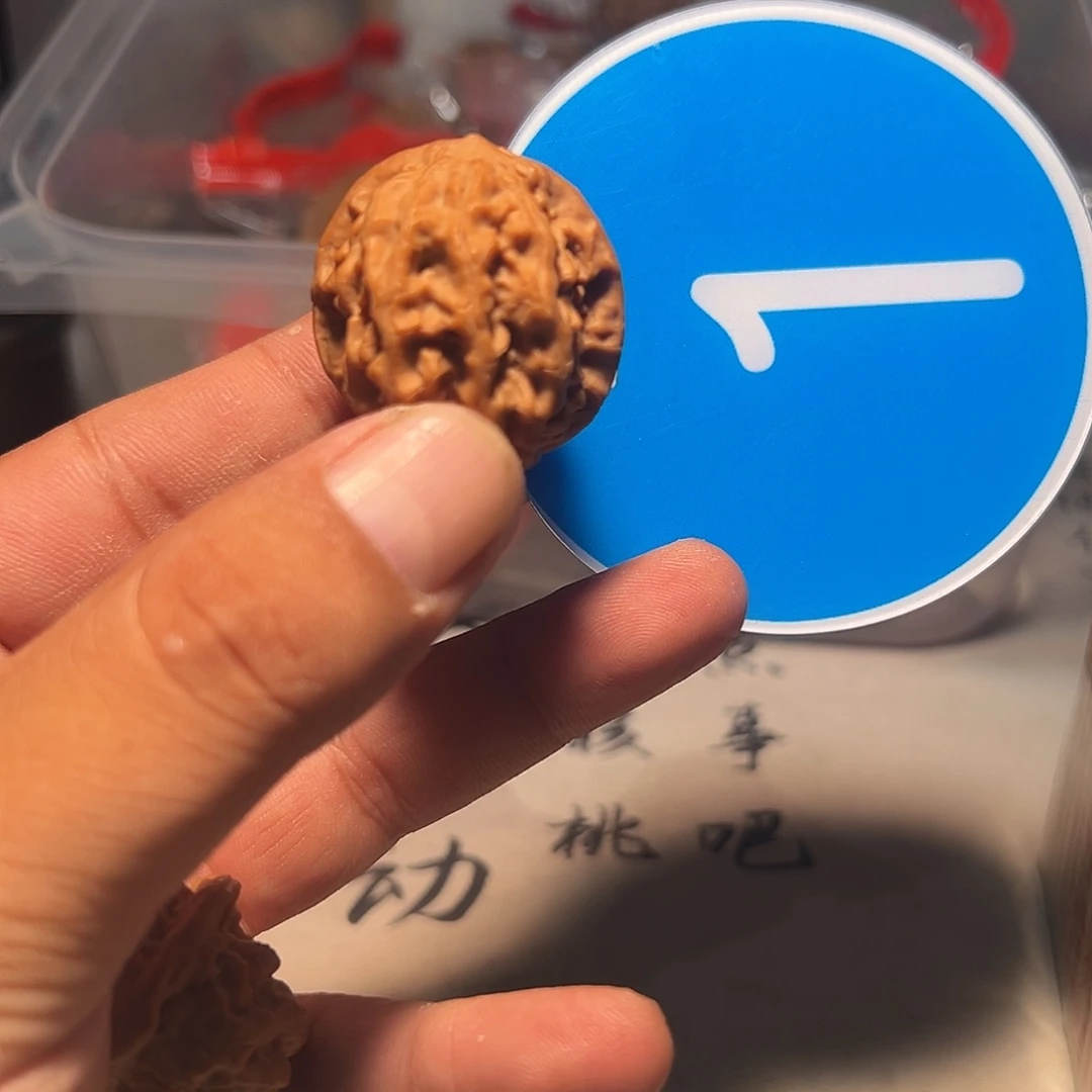 風***山文玩核桃，蓝色01号