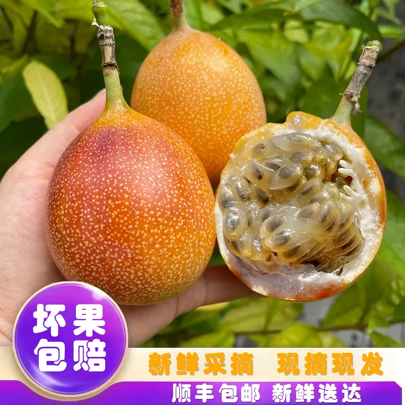 【爱情果】热情果云南西双版纳热情果头茬果纯无酸非黄金百香果直发