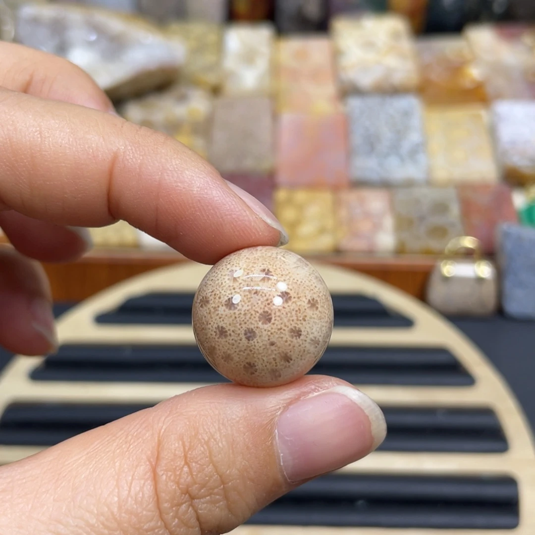 硅化玉未镶嵌颈饰k31