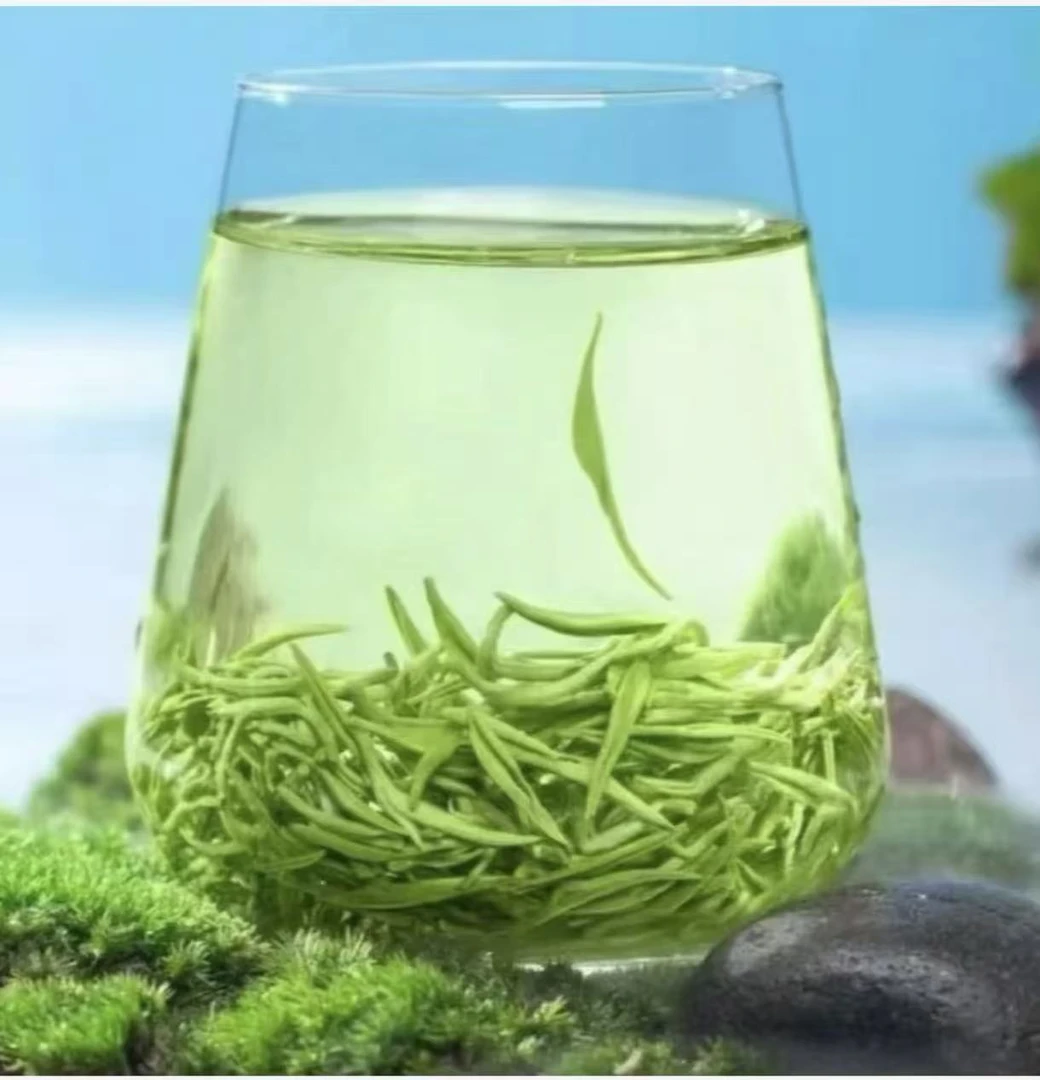 【买半斤送半斤】毛尖绿茶新茶明前春茶浓香茶叶嫩芽