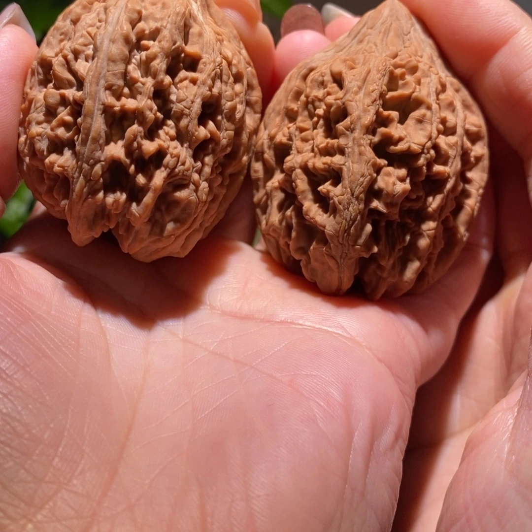 可***乐文玩核桃把件大沽石