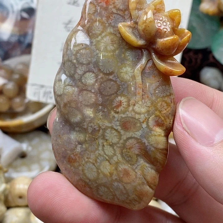 硅化珊瑚（珊瑚玉）未镶嵌颈饰