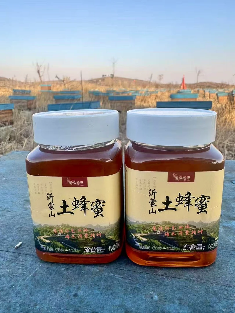 【老白推荐】沂蒙山百花土蜂蜜500g