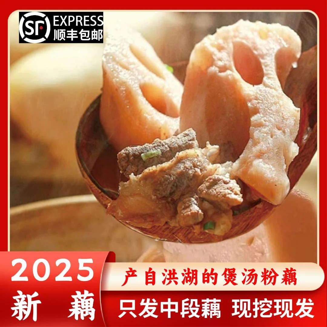 洪湖粉藕（煲汤）自产自发 新鲜现挖精选中间段 粉粉糯糯/顺丰直达