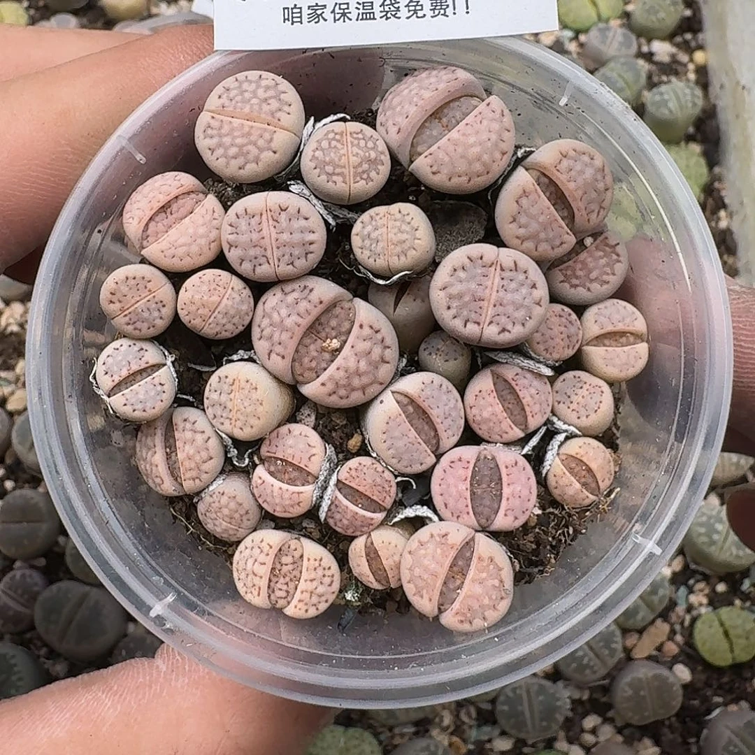 102满18 包邮保温袋联系客服